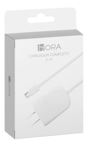 CARGADOR COMPLETO V8 1HORA